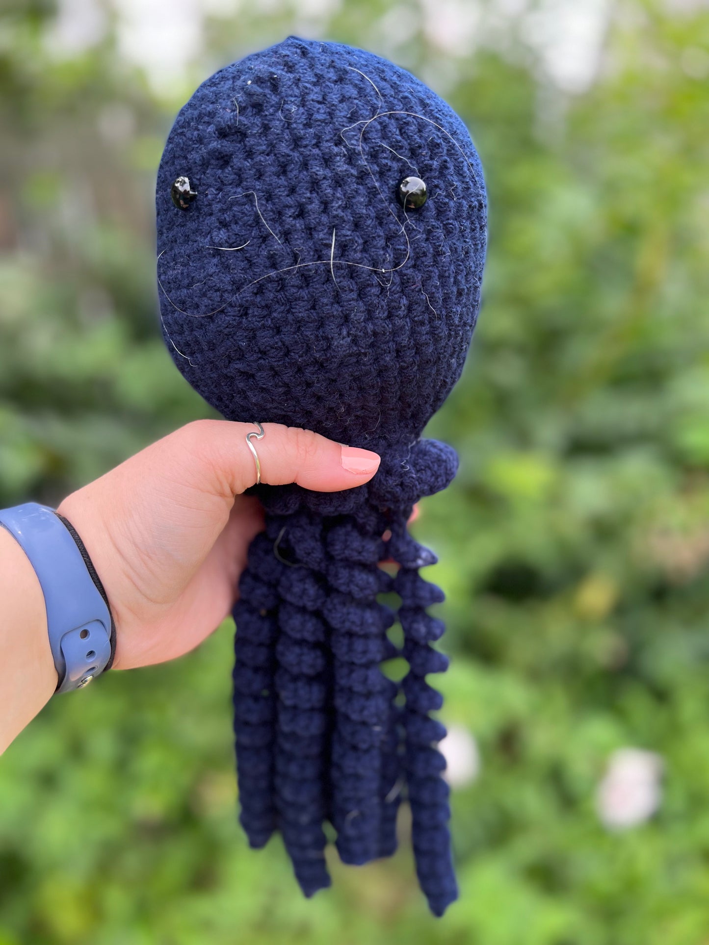 Jellyfish