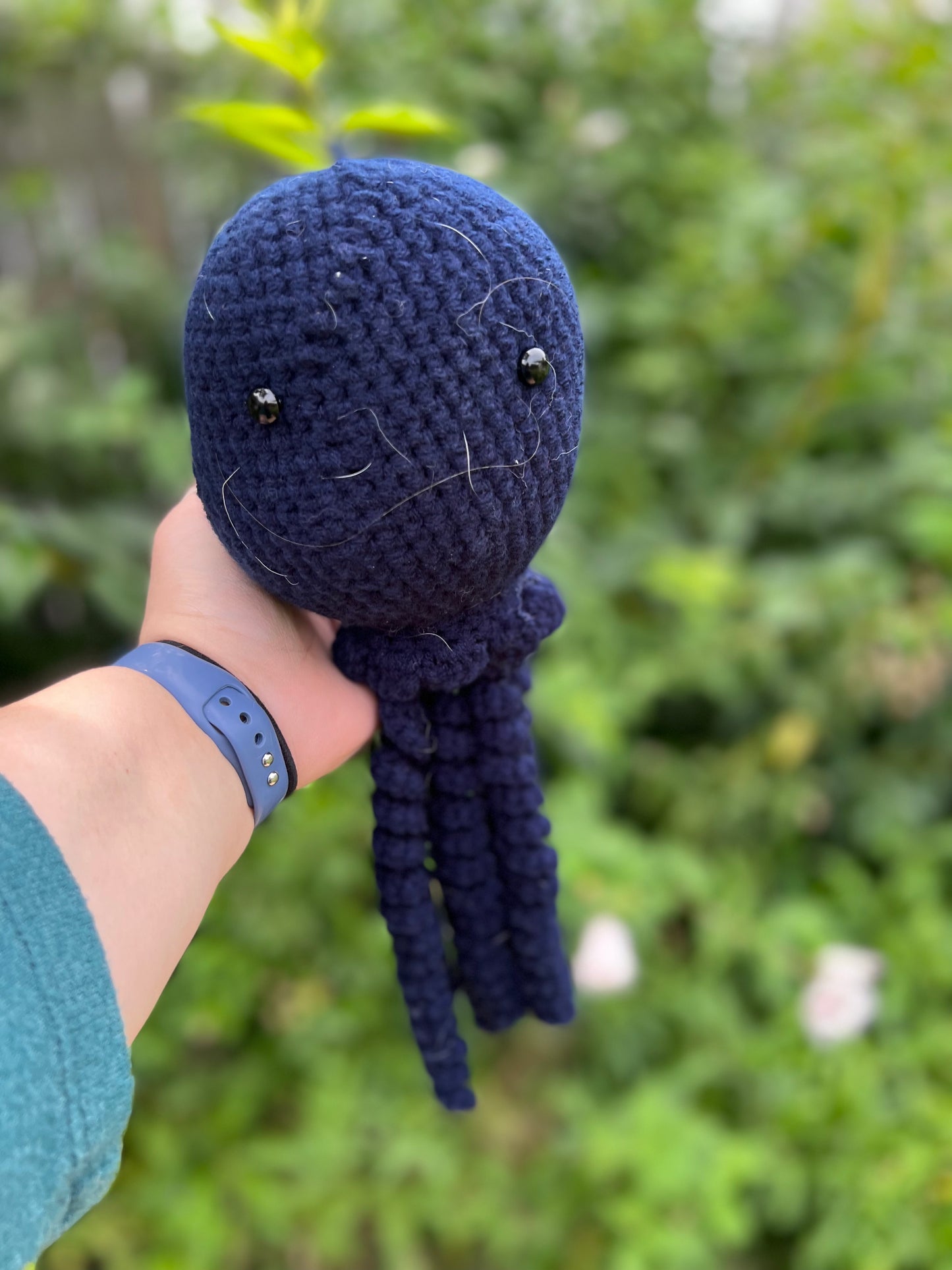 Jellyfish